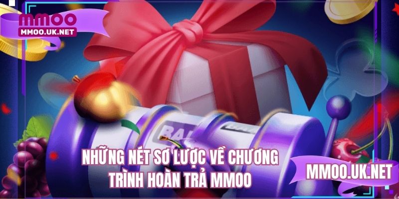 Những nét sơ lược về chương trình hoàn trả MMOO